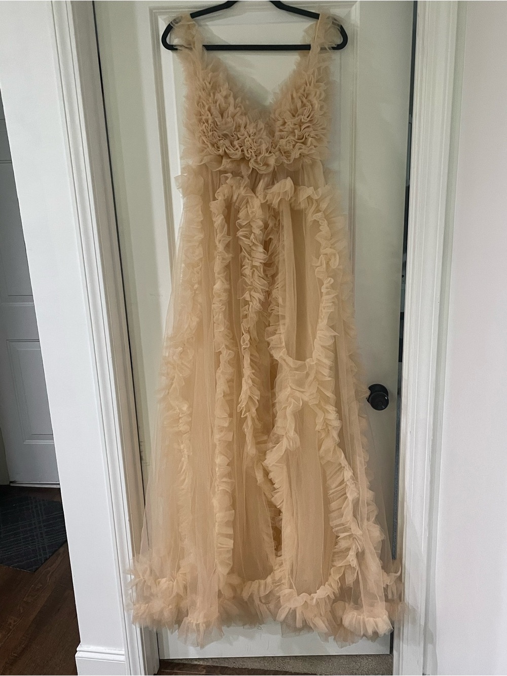 Ruffled Tulle Maternity Dress in Champagne NWOT